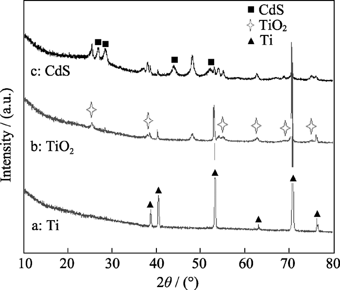 Tio2 Shell On Cds TiO 2 /CdS同轴异质结的制备及光催化性能研究